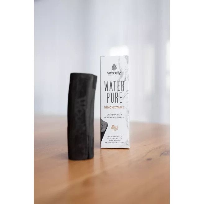 28 Charbons actifs Woody binchotan