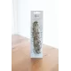 Vleksalie Witte Salie