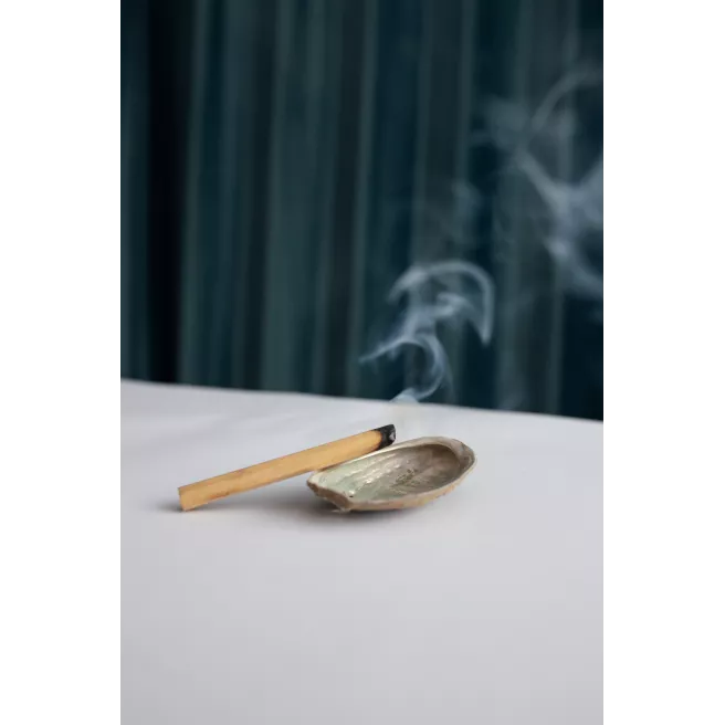Smudge Sauge blanche Smudge Sauge blanche