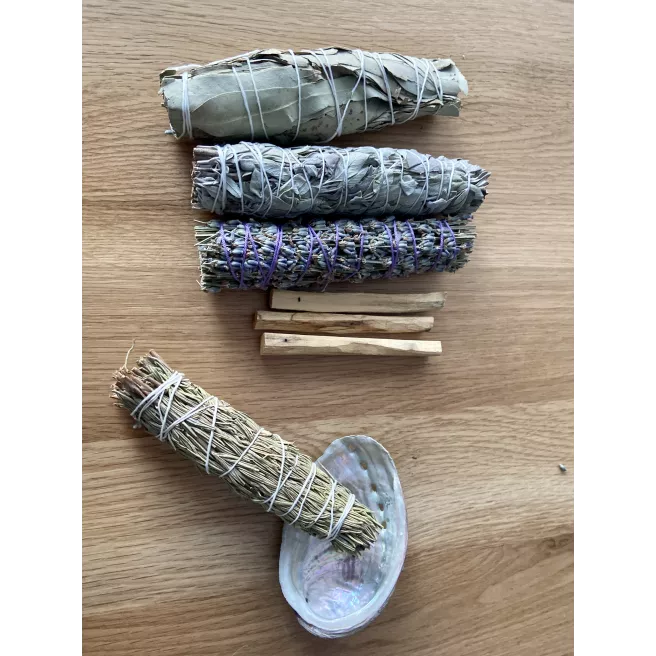 Coquille d'ormeau 10 Coquille d'ormeau 10