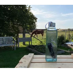 Set Natural Water 1L + 2 verres 600ml