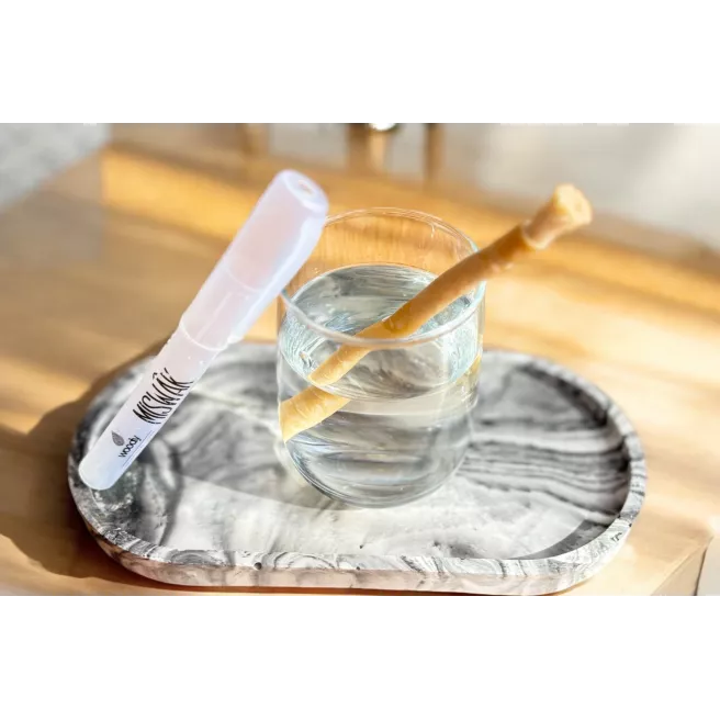 Miswak avec upport de voyage Miswak avec upport de voyage