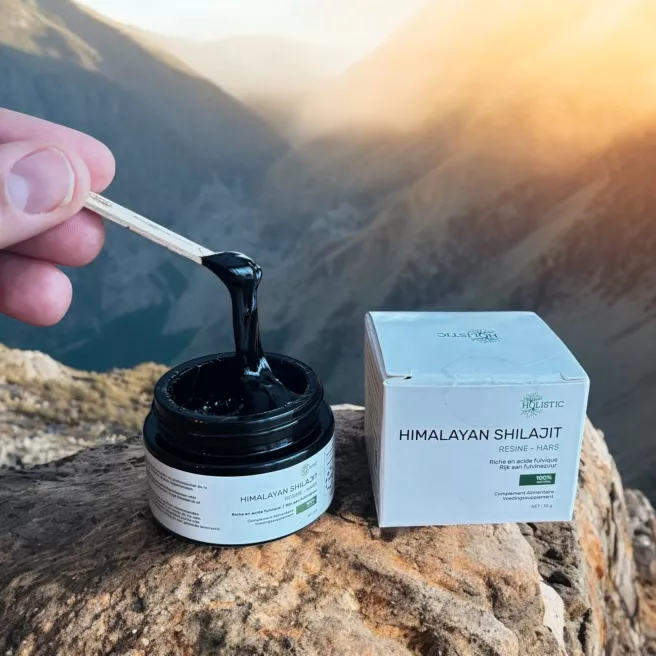 Résine de Shilajit Pur de l’Himalaya Résine de Shilajit Pur de l’Himalaya