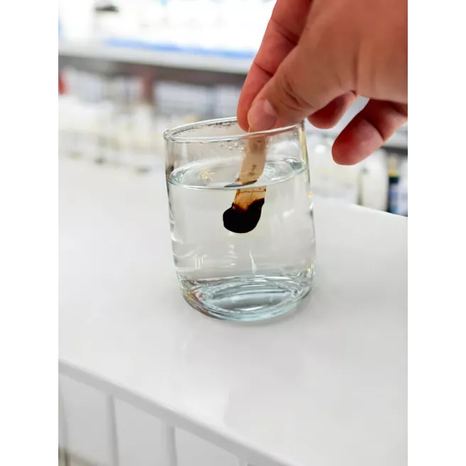 Résine de Shilajit Pur de l’Himalaya 60 g – Code NUT AS5139/1