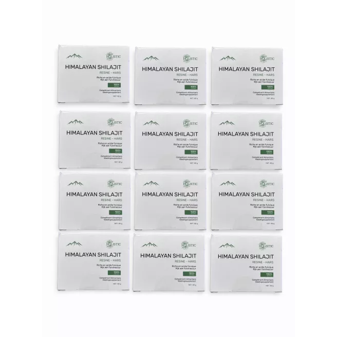 Résine de Shilajit Pur de l’Himalaya 60 g – Code NUT AS5139/1