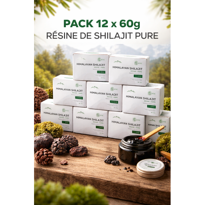 Résine de Shilajit Pur de l’Himalaya 60 g – Code NUT AS5139/1