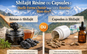 Pure Shilajit uit de Himalaya - natuurlijke hars rijk aan fulvinezuur en gecertificeerd SPF België.