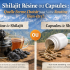 Pure Shilajit uit de Himalaya - natuurlijke hars rijk aan fulvinezuur en gecertificeerd SPF België.