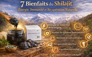 Ontdek Shilajit: De Schat van de Himalaya met Meerdere Voordelen