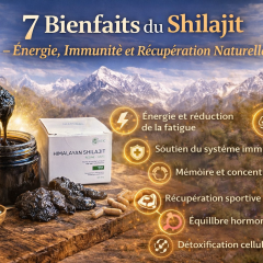 Ontdek Shilajit: De Schat van de Himalaya met Meerdere Voordelen