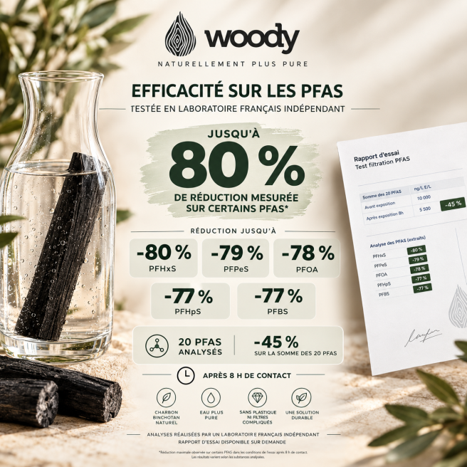 28 Charbons actifs Woody binchotan